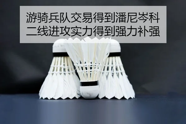 游骑兵队交易得到潘尼岑科 二线进攻实力得到强力补强
